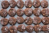 Arctic Mint Chocolate Shortbread