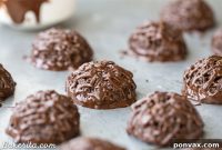 Decadent Vegan Double Chocolate Macaroons