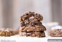 Chewy Gluten-Free Vegan Oatmeal Chocolate Chip Cookies