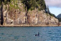 Indulge Wisely Your Guide to Healthy Cruise Eating