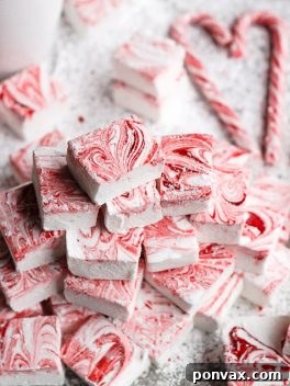 Candy Cane Cloud Bites 6 Fluffy Peppermint Marshmallows with red swirls, perfect for hot cocoa or holiday gifts.