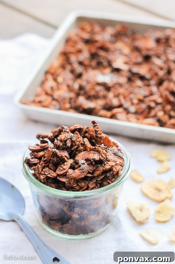 Golden Banana Chocolate Crunch 5 Addictive Chocolate Banana Granola, packed with chocolatey goodness, mashed banana, and banana chips. A wonderful gluten-free and vegan treat for any time of day.