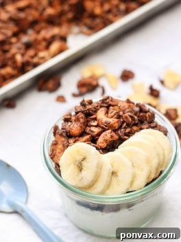 Golden Banana Chocolate Crunch 7 This Chocolate Banana Granola is super chocolatey with mashed banana and banana chips! This gluten-free and vegan granola makes a super addictive snack or breakfast.