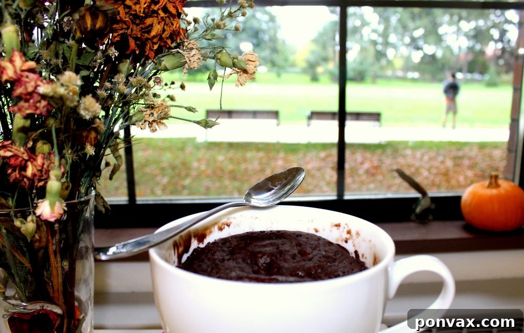 Delicious Microwave Chocolate Cake Microwave Chocolate Cake, ready to be served in a mug, with Nutella on the side.