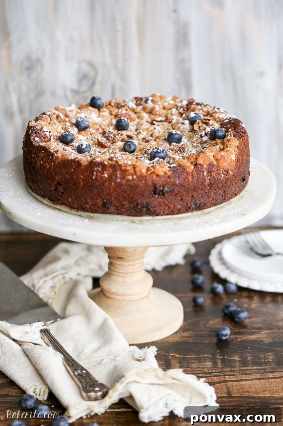The Ultimate Blueberry Crumb Cake with a thick pecan crumble topping and juicy blueberries, perfect for any occasion.