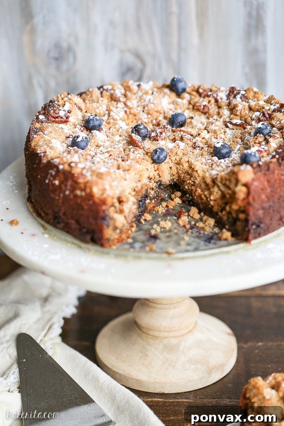 The finished Blueberry Crumb Cake, dusted with powdered sugar and ready to be served.