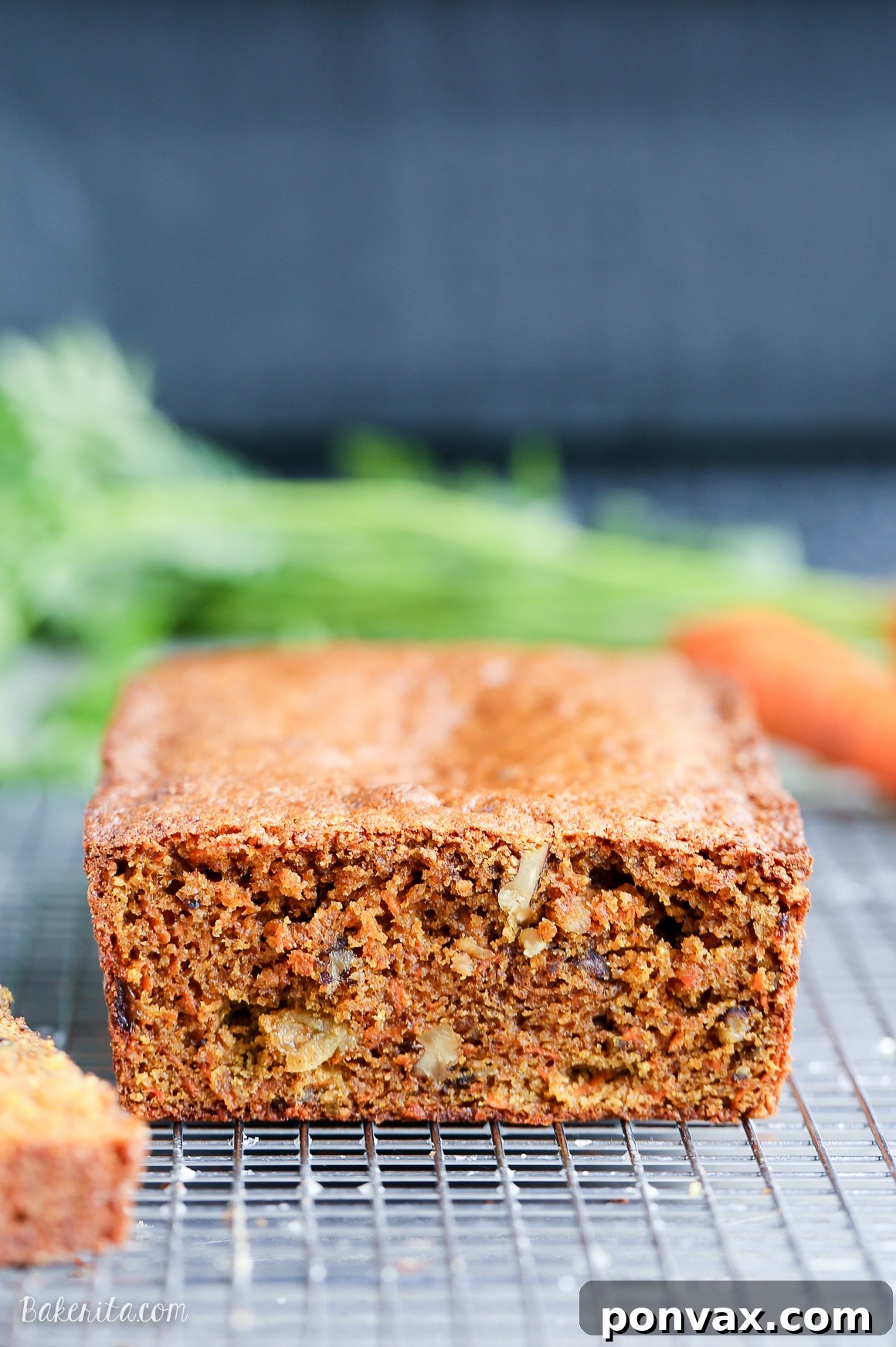 A thick slice of Paleo Carrot Bread presented beautifully, highlighting its dense, moist crumb and the generous inclusions of walnuts and raisins. This healthy quick bread is ideal for breakfast or a snack.