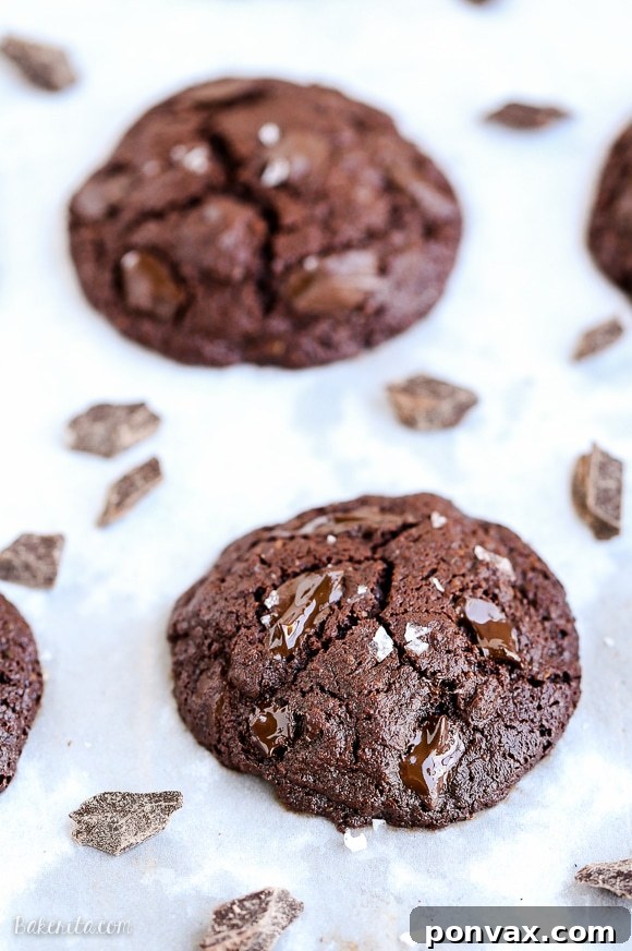 Even your most intense chocolate craving doesn't stand a chance against these Paleo Double Chocolate Cookies! These super chocolatey cookies are gluten free and refined sugar free.