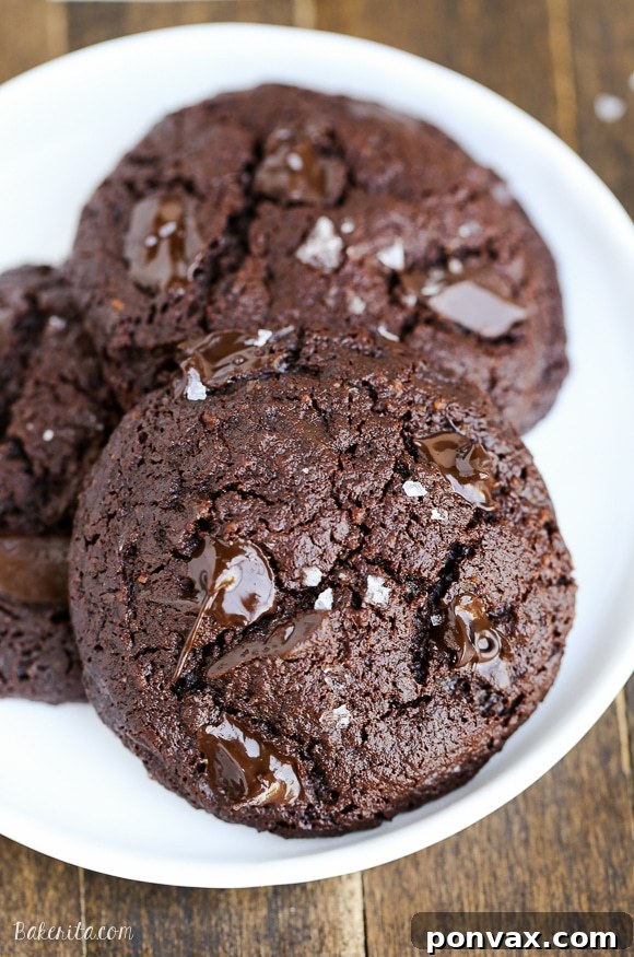 Even your most intense chocolate craving doesn't stand a chance against these Paleo Double Chocolate Cookies! These super chocolatey cookies are gluten free and refined sugar free.