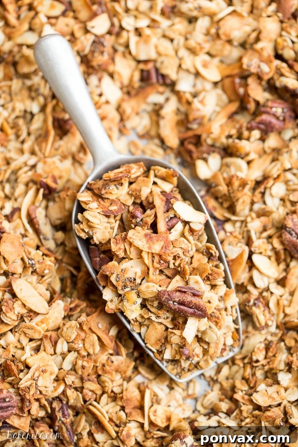 This crunchy Protein Granola gets a major dose of protein & fiber from a secret ingredient - lentils! This gluten-free & vegan granola is a delicious and filling breakfast or snack.