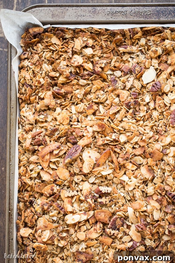 This crunchy Protein Granola gets a major dose of protein & fiber from a secret ingredient - lentils! This gluten-free & vegan granola is a delicious and filling breakfast or snack.