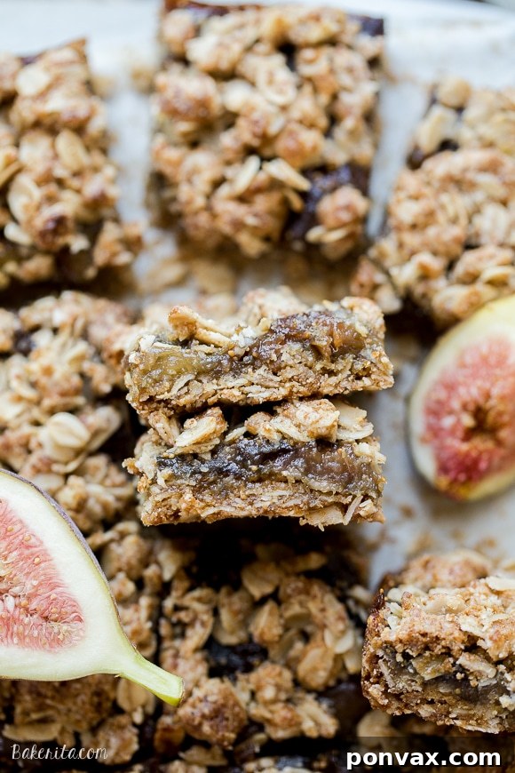 Soft-Baked Gluten-Free Plant-Based Oat Fig Bars 2 Delicious Gluten-Free and Vegan Oatmeal Fig Bars with a crumbly oat crust and sweet fig filling