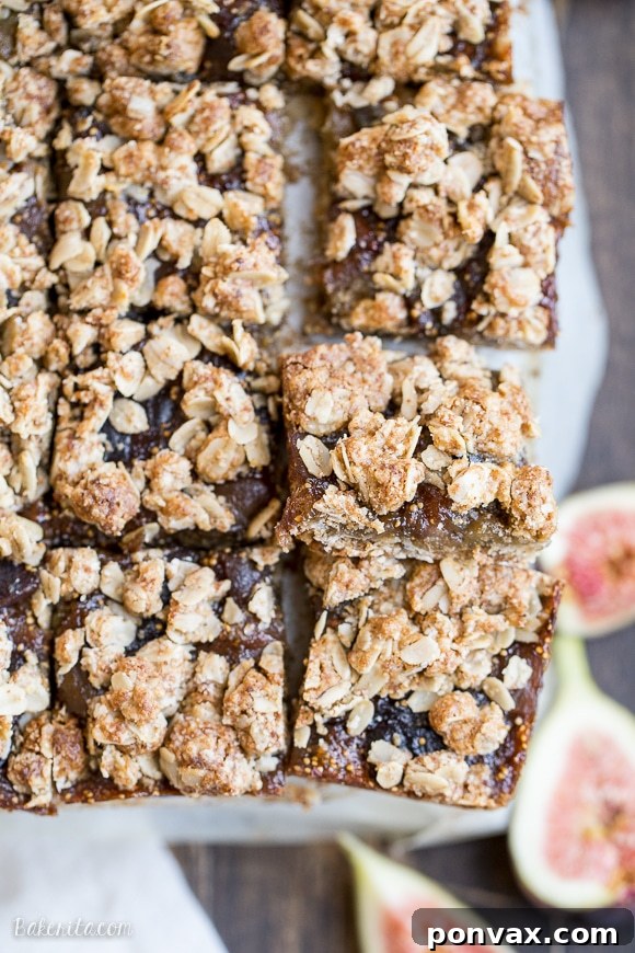 Soft-Baked Gluten-Free Plant-Based Oat Fig Bars 3 Close-up of freshly baked Oatmeal Fig Bars, showcasing the texture of the oat crust
