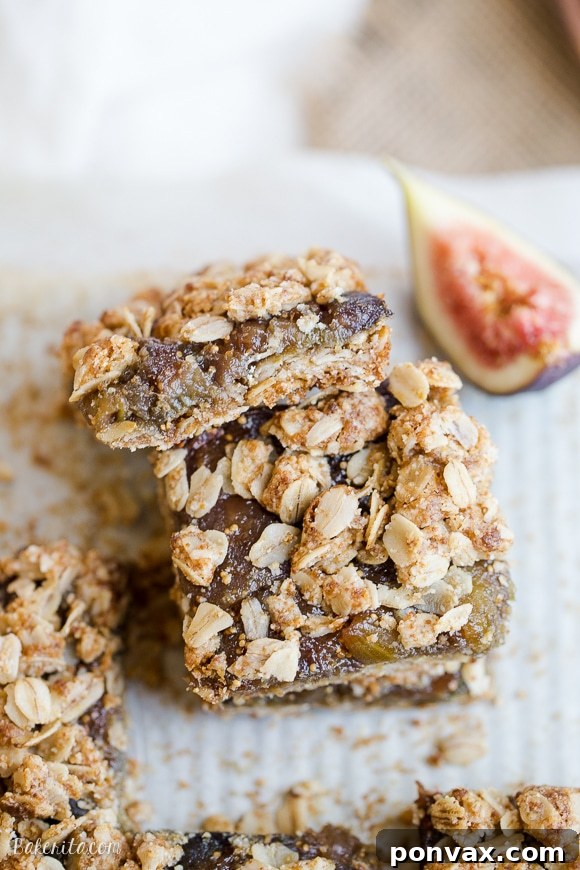 Soft-Baked Gluten-Free Plant-Based Oat Fig Bars 6 Beautifully arranged Gluten-Free Oatmeal Fig Bars ready to be served