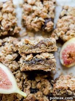 Delicious Gluten-Free and Vegan Oatmeal Fig Bars