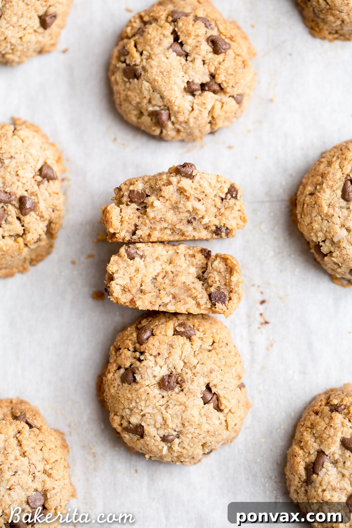 Delicious gluten-free Paleo vegan chocolate chip macaroons, a fusion of coconut macaroons and chocolate chip cookies