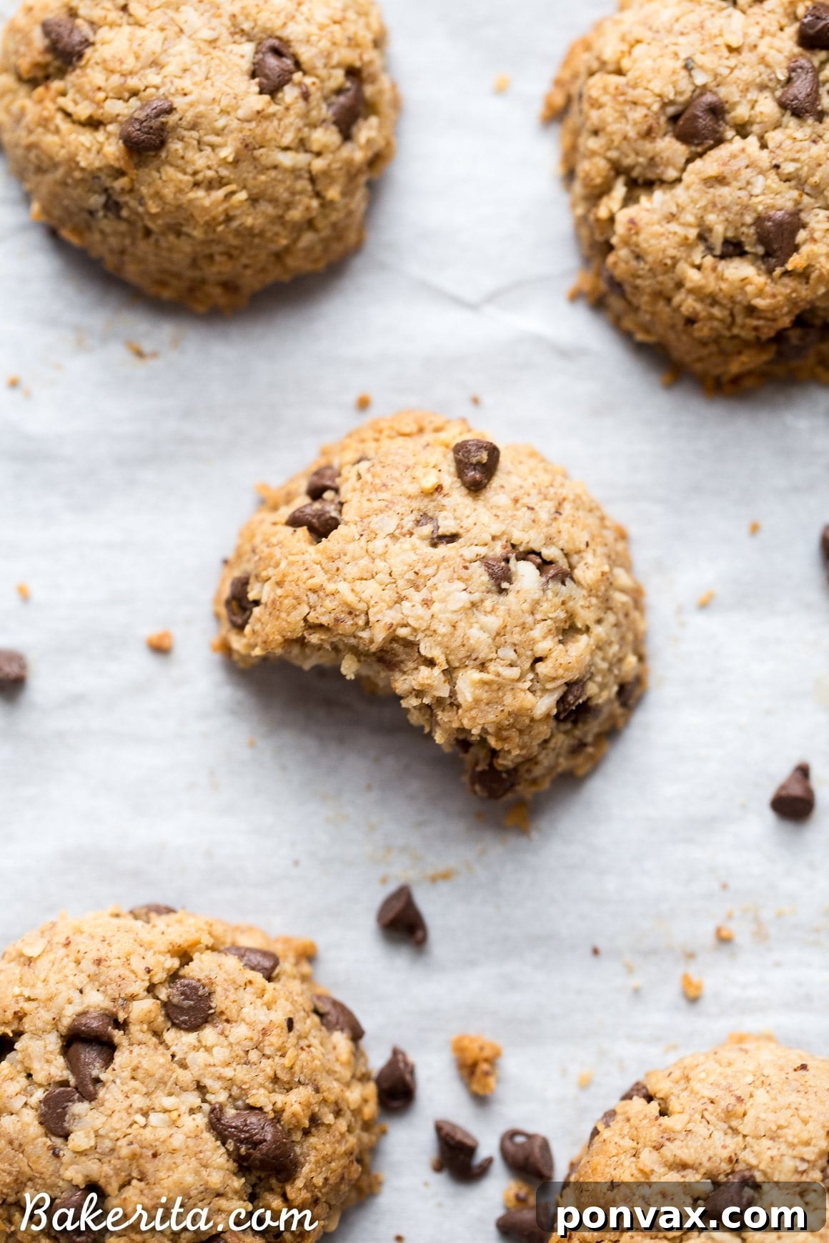 A plate of freshly baked chocolate chip macaroons, ready to be enjoyed as a gluten-free and vegan dessert