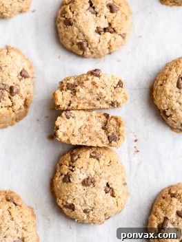 Finished Chocolate Chip Macaroons (Gluten Free + Vegan)