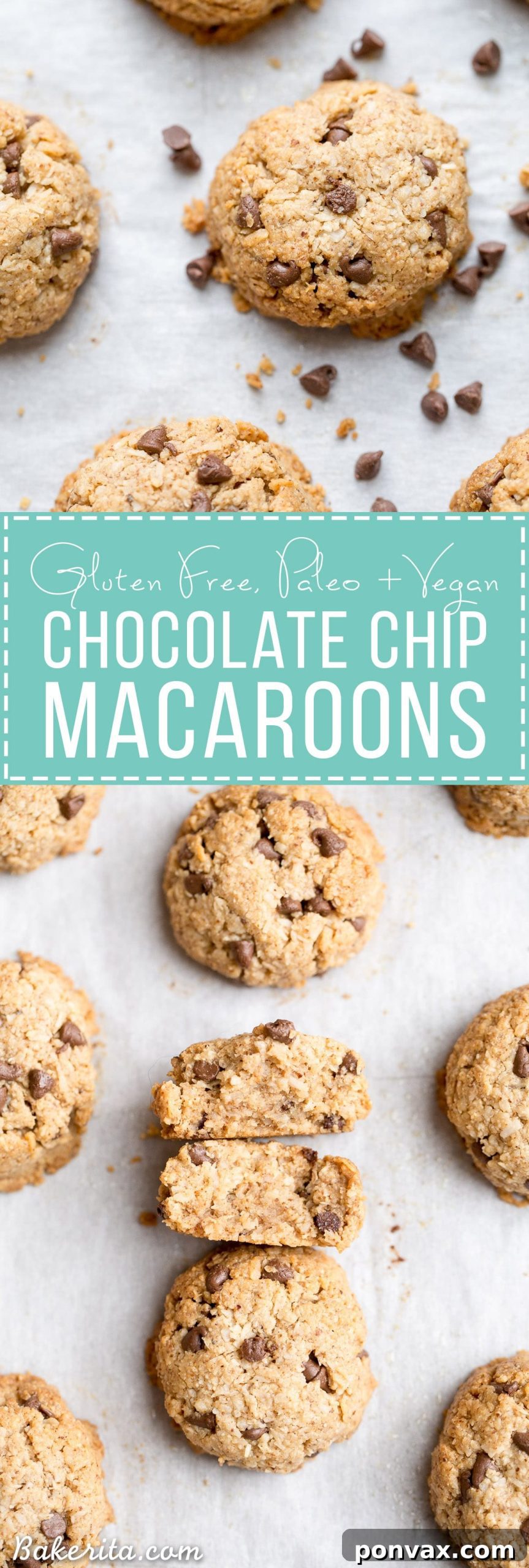 Hidden image for social sharing: A beautiful spread of chocolate chip macaroons with natural light