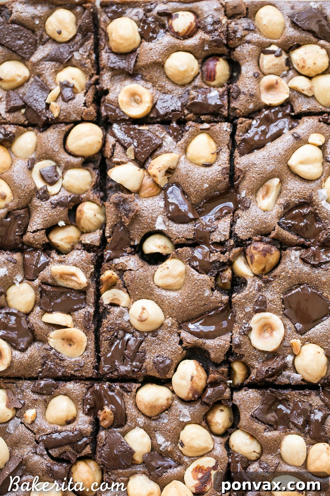 A perfectly sliced Chocolate Hazelnut Bar, showcasing its rich, dark interior, studded with chocolate chunks and a golden-brown hazelnut crust.