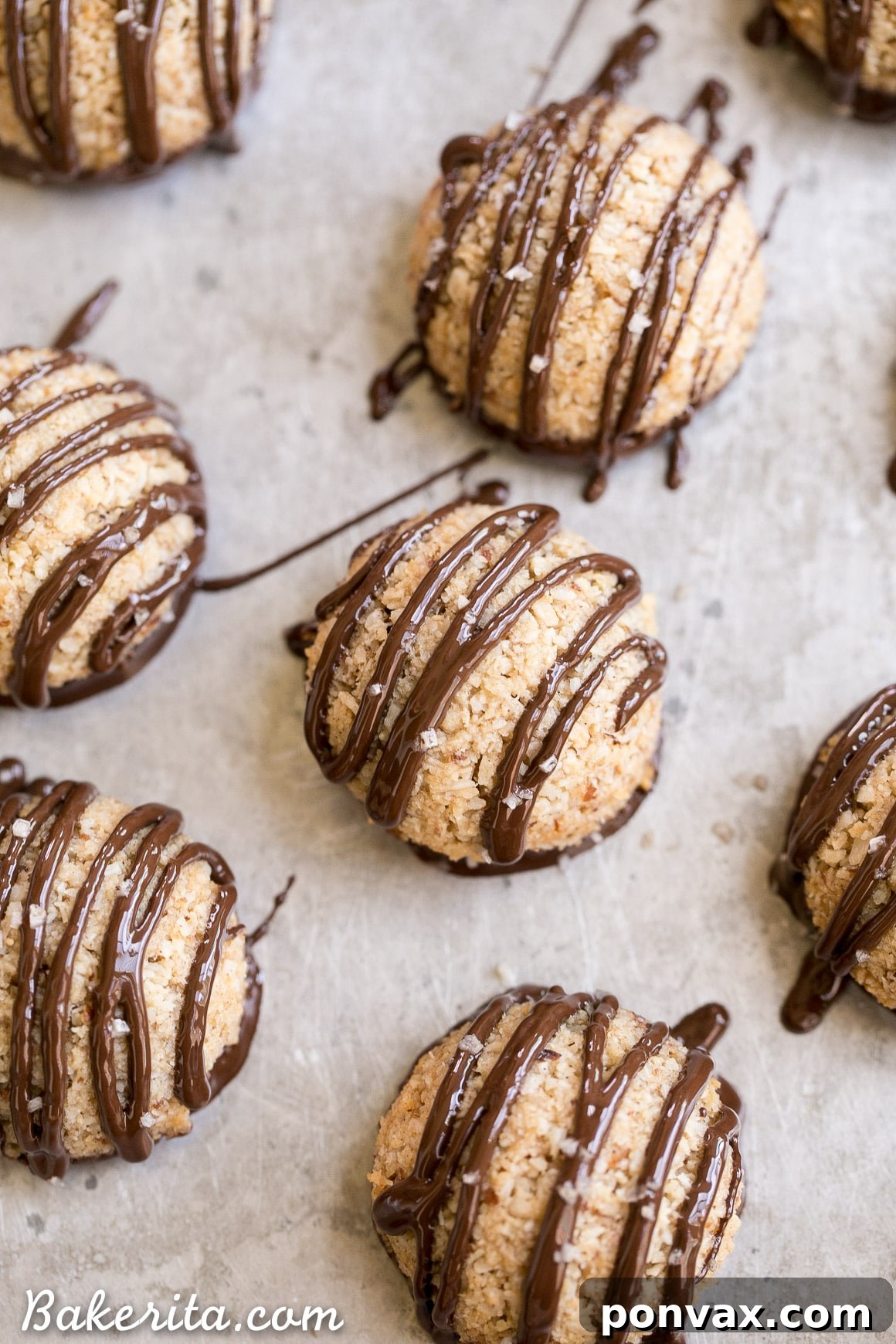 Delicious Chocolate-Dipped Vanilla Bean Macaroons, a perfect gluten-free, Paleo, and vegan treat with a rich chocolate drizzle.