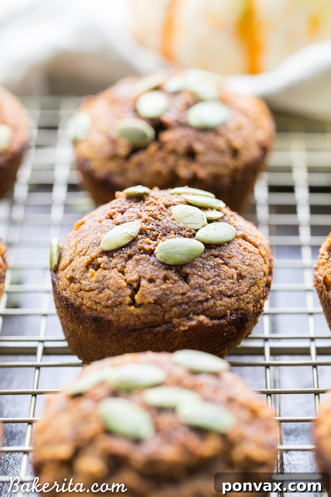 Healthy Paleo Pumpkin Muffins, perfect for meal prep and freezing, with a lovely spice blend.