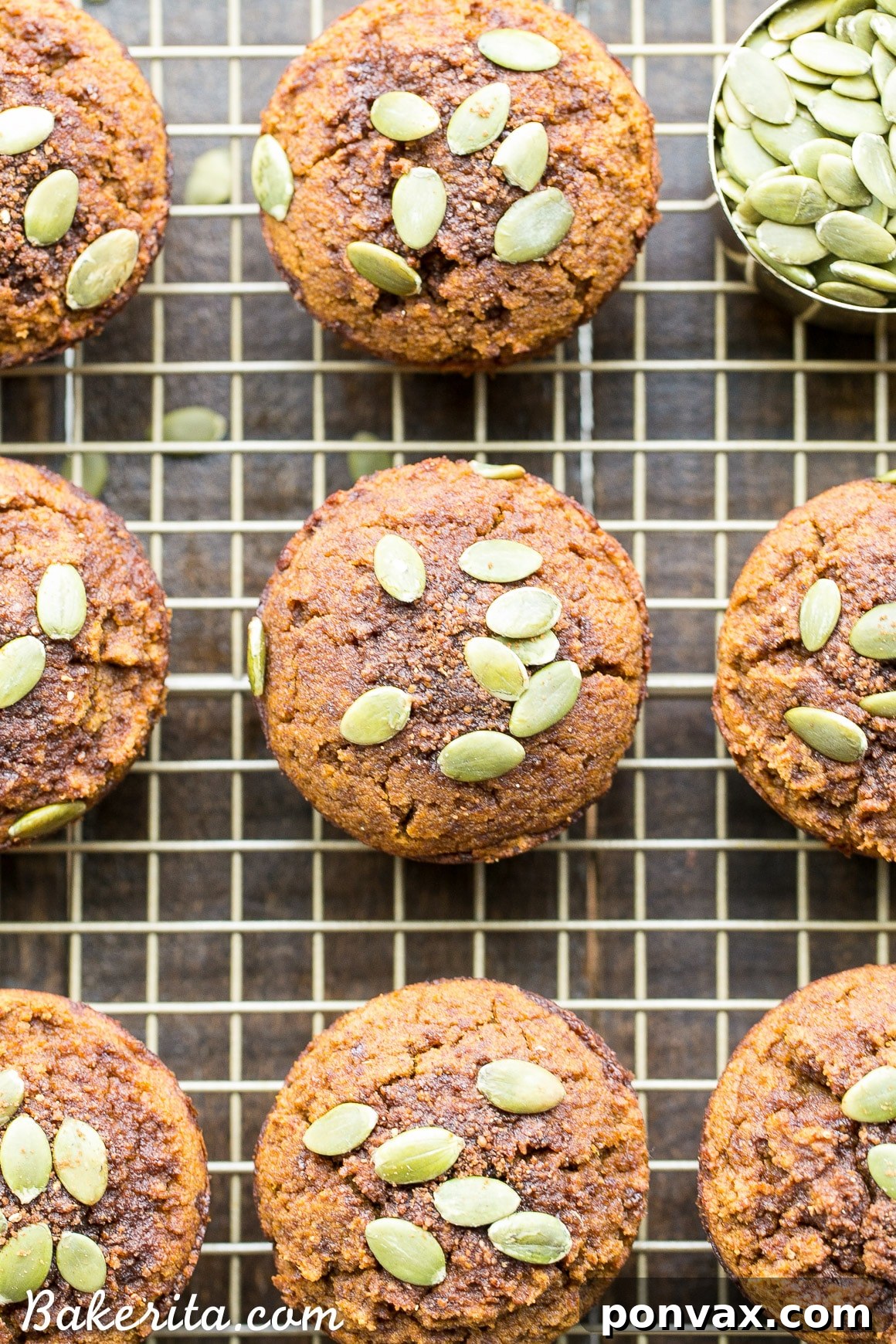 Lightly spiced Paleo Pumpkin Muffins with coconut sugar and pepita topping, ideal for a quick healthy bite.