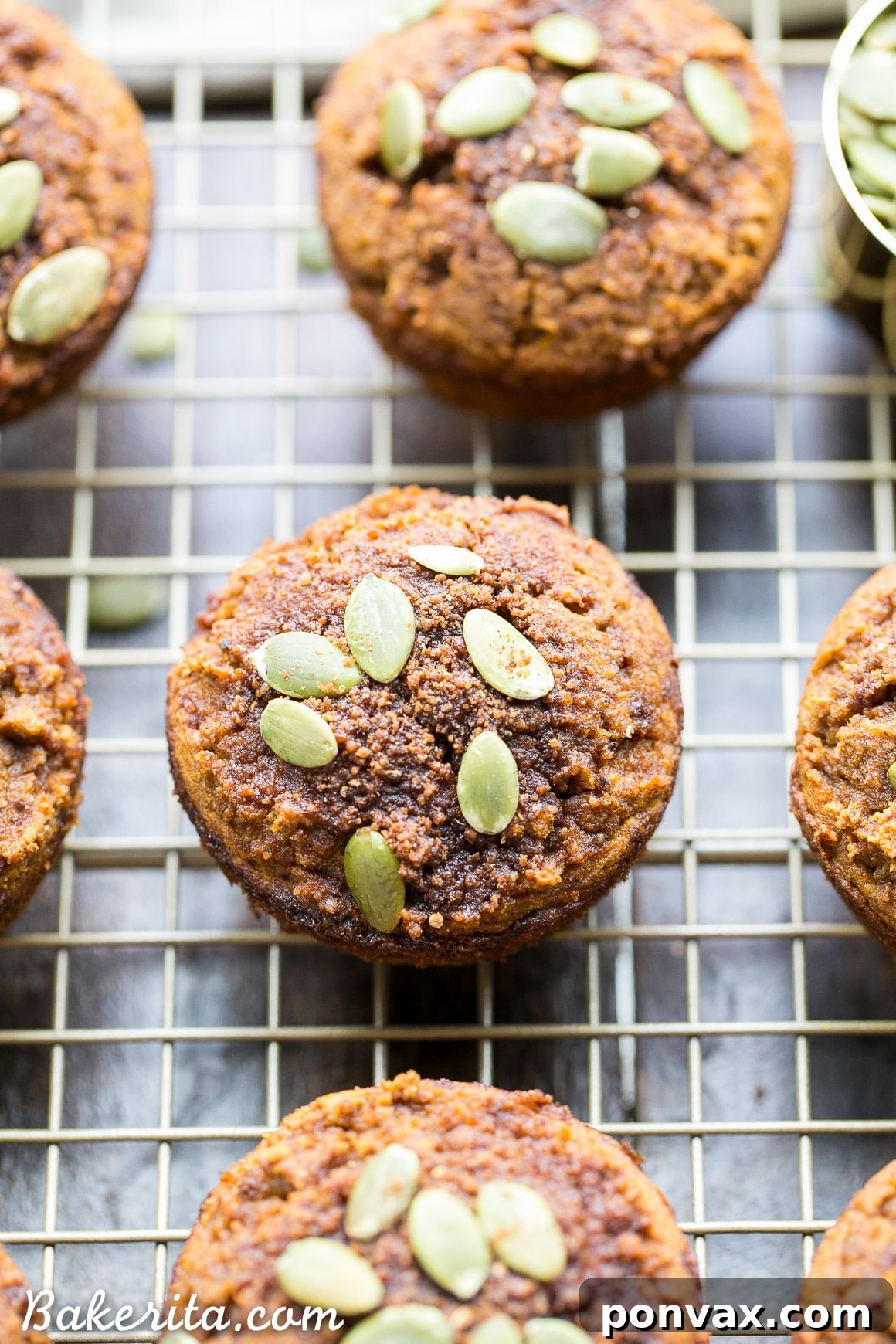 Paleo Pumpkin Muffins with a sprinkle of pepitas, a healthy and satisfying treat for any time.