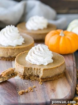 Gluten Free Mini Pumpkin Cheesecakes with Pretzel Crust