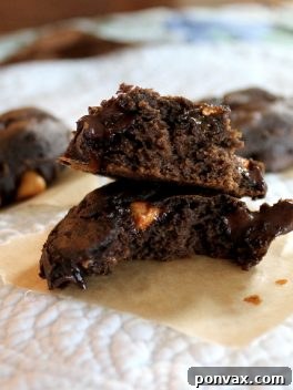 Harvest Gold Pumpkin Butterscotch Chocolate Cookies 2 Final plated Pumpkin Butterscotch Chocolate Cookies, a quick and easy fall dessert recipe.