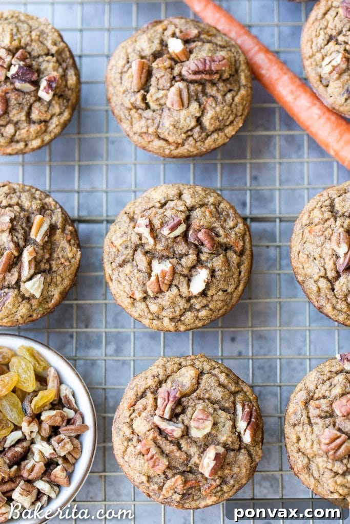 Wholesome Paleo Morning Glory Muffins 3 Up-close shot of a Paleo Morning Glory Muffin, showcasing its texture and the visible inclusions of shredded carrots, nuts, and raisins. This healthy muffin is made without added sugar.