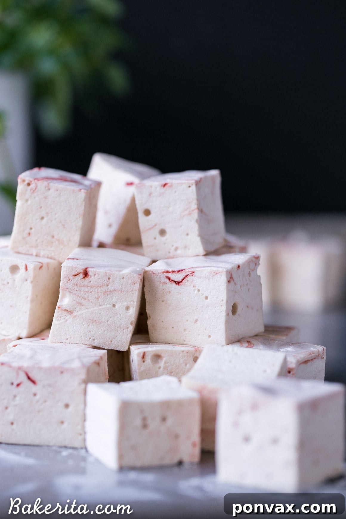 A bowl of hot chocolate topped with a few large Paleo Peppermint Marshmallows