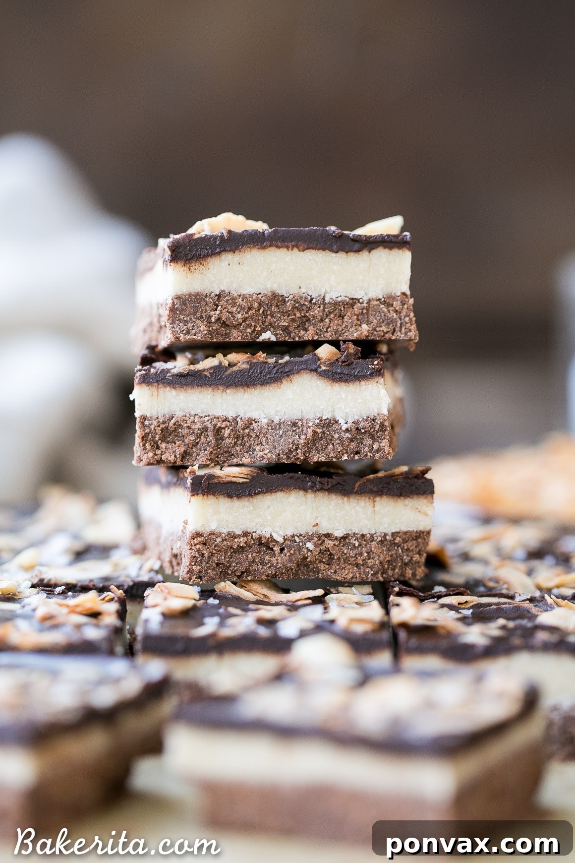 Close-up of a single perfect chocolate coconut bar, showing the three distinct layers and the toasted coconut flakes on top.