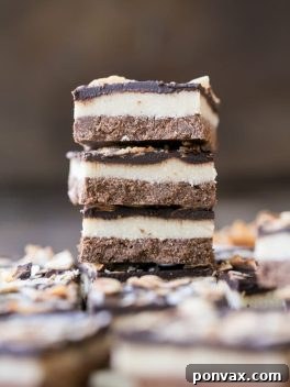 Chocolate Coconut Bars (Gluten Free, Paleo + Vegan)