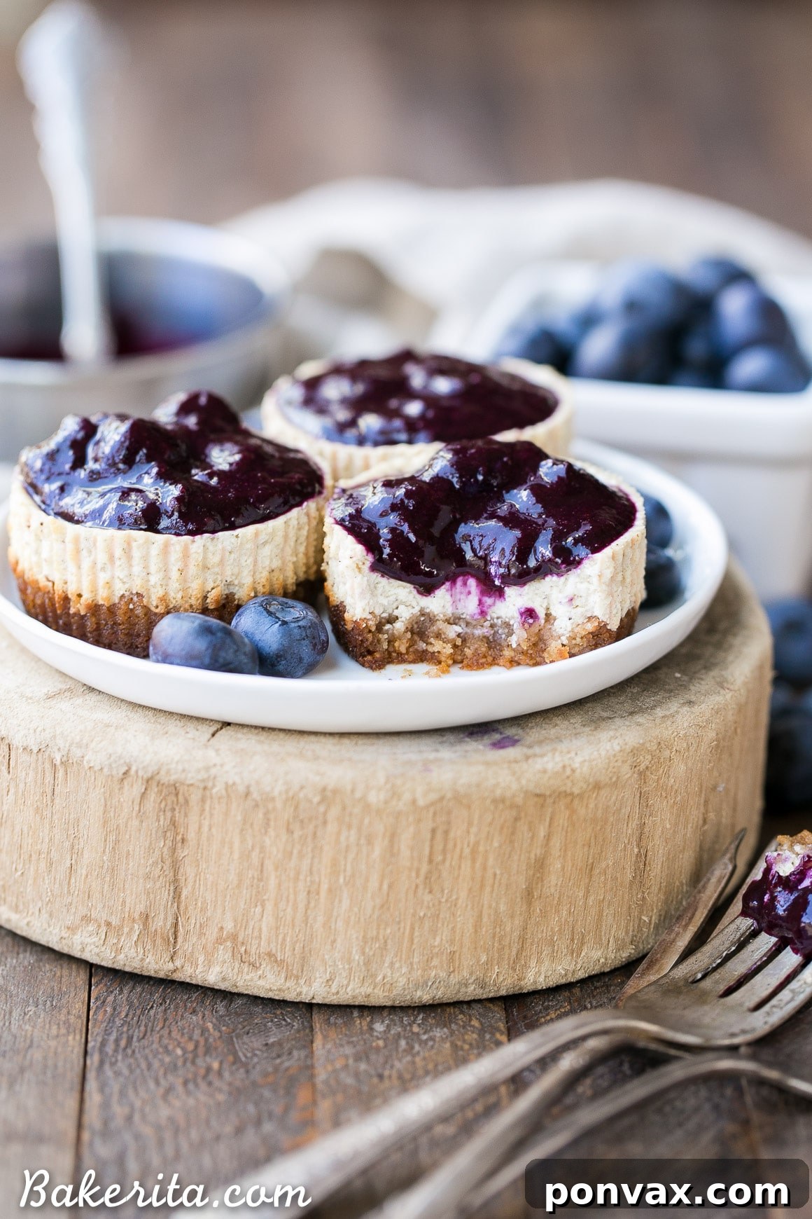 A close-up of a single Vanilla Bean Greek Yogurt Cheesecake, showcasing the golden, crumbly crust, the creamy white filling, and the visible specks of vanilla bean.