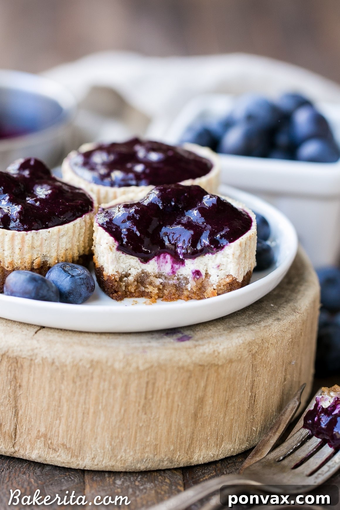 A collection of mini Vanilla Bean Greek Yogurt Cheesecakes, some plain and some topped with blueberry compote, arranged aesthetically to highlight their individual charm.