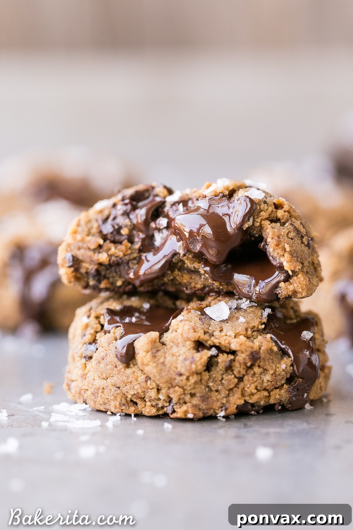 A perfectly baked Coconut Flour Chocolate Chip Cookie with visible chocolate chunks, set on a cooling rack. This recipe is Paleo, vegan, and nut-free.