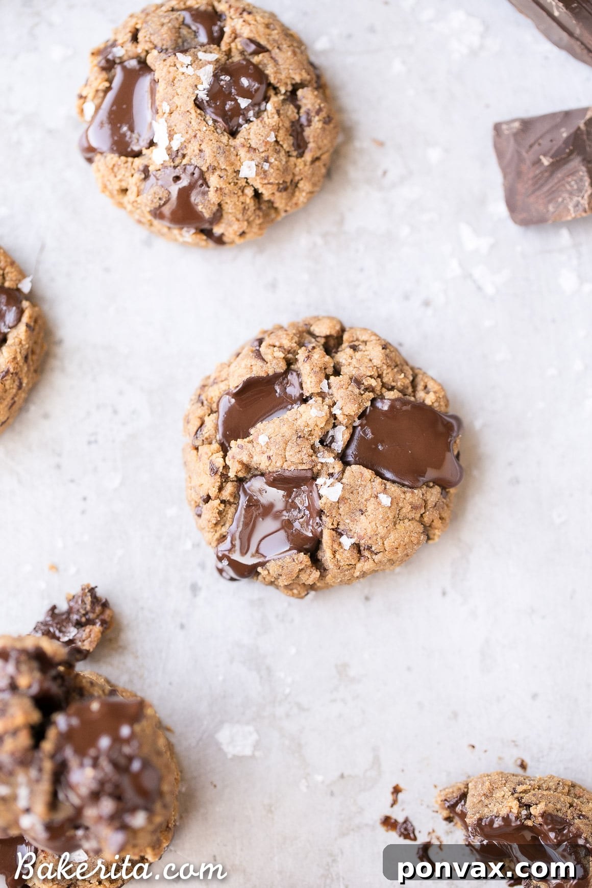 A single, perfectly round Gluten-Free Coconut Flour Chocolate Chip Cookie, slightly warm and with visible melted chocolate chips, ready to be enjoyed.