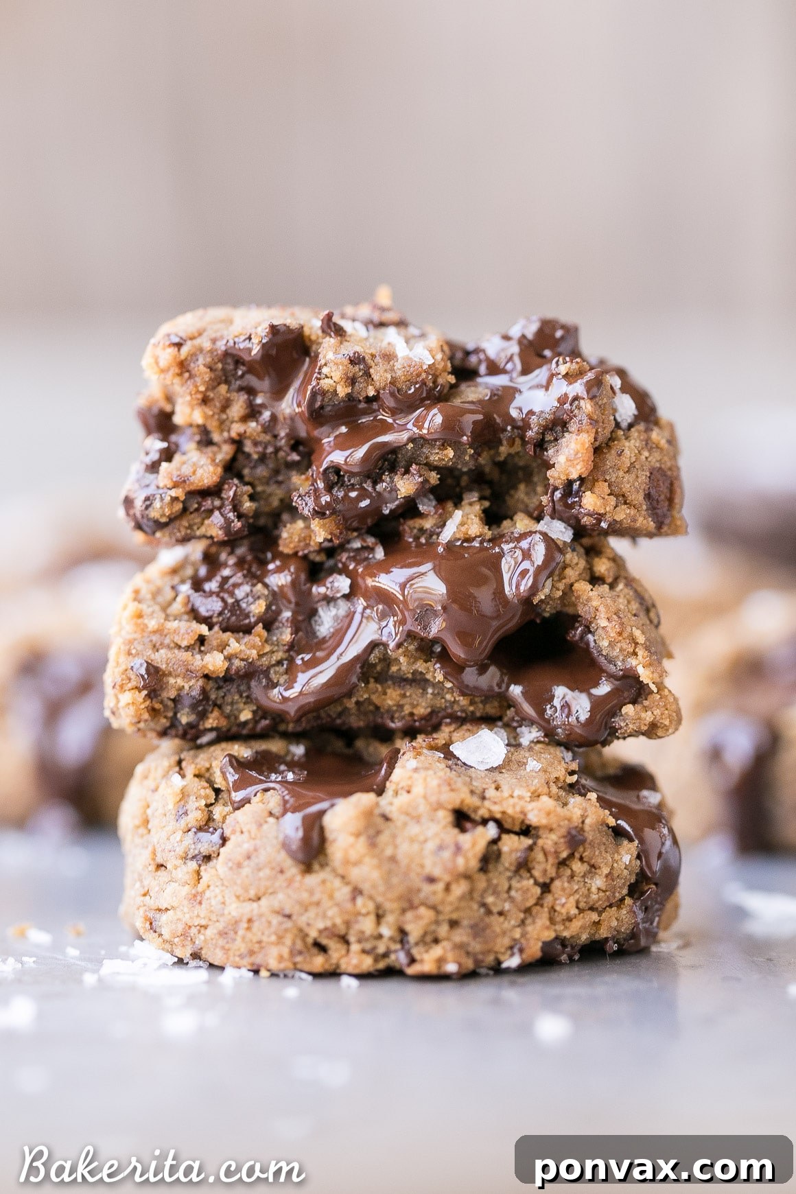 A beautifully arranged plate of Gluten-Free Coconut Flour Chocolate Chip Cookies, ready to be served. These are vegan, Paleo, and nut-free.