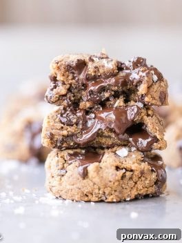 Delicious Gluten-Free Coconut Flour Chocolate Chip Cookies, vegan and nut-free.