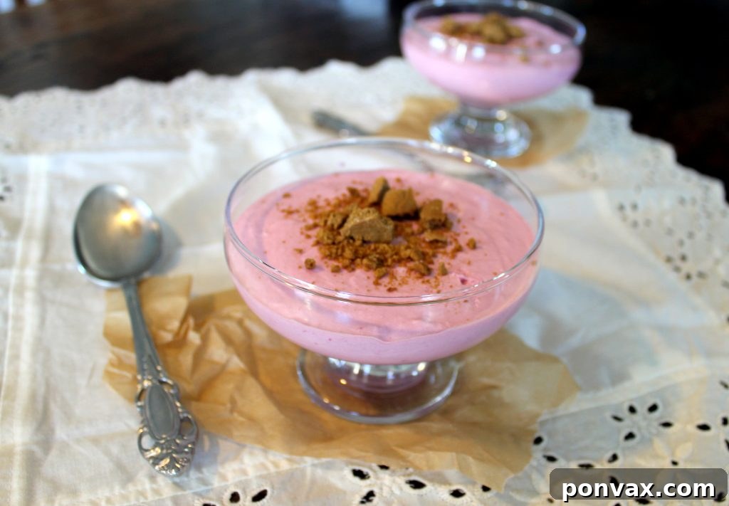 Close-up of fluffy, creamy Blackberry Mousse with a hint of gingersnap crumbs, showcasing its delicate texture.