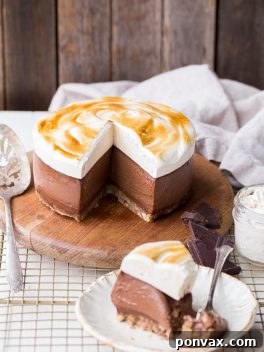 No Bake S'mores Cheesecake (Gluten Free, Dairy Free + Paleo)