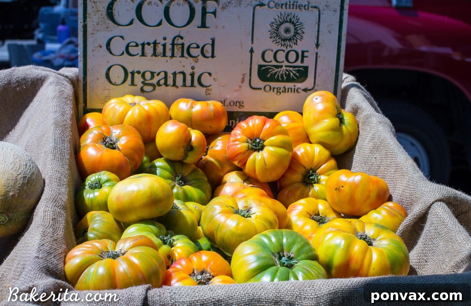 Santa Barbara RV Adventure with a Refreshing Peach Tomato Salad 16 Unique fresh fruits and vegetables, highlighting local and seasonal offerings at the Santa Barbara Farmers Market.