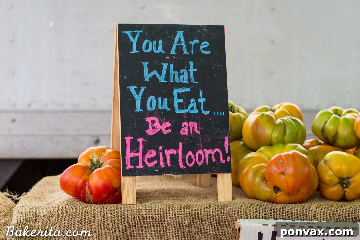 Santa Barbara RV Adventure with a Refreshing Peach Tomato Salad 17 An assortment of local honey, artisanal breads, and other gourmet products at the Santa Barbara Farmers Market.