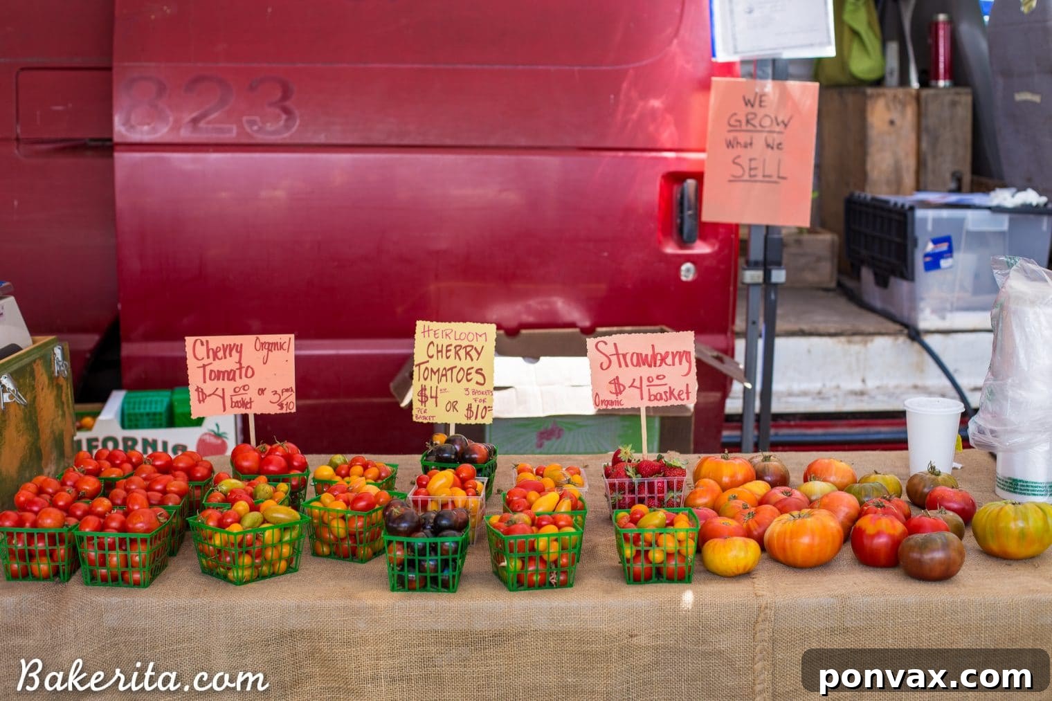Santa Barbara RV Adventure with a Refreshing Peach Tomato Salad 20 A selection of vibrant flowers and potted plants for sale at the Santa Barbara Farmers Market, adding to its charm.