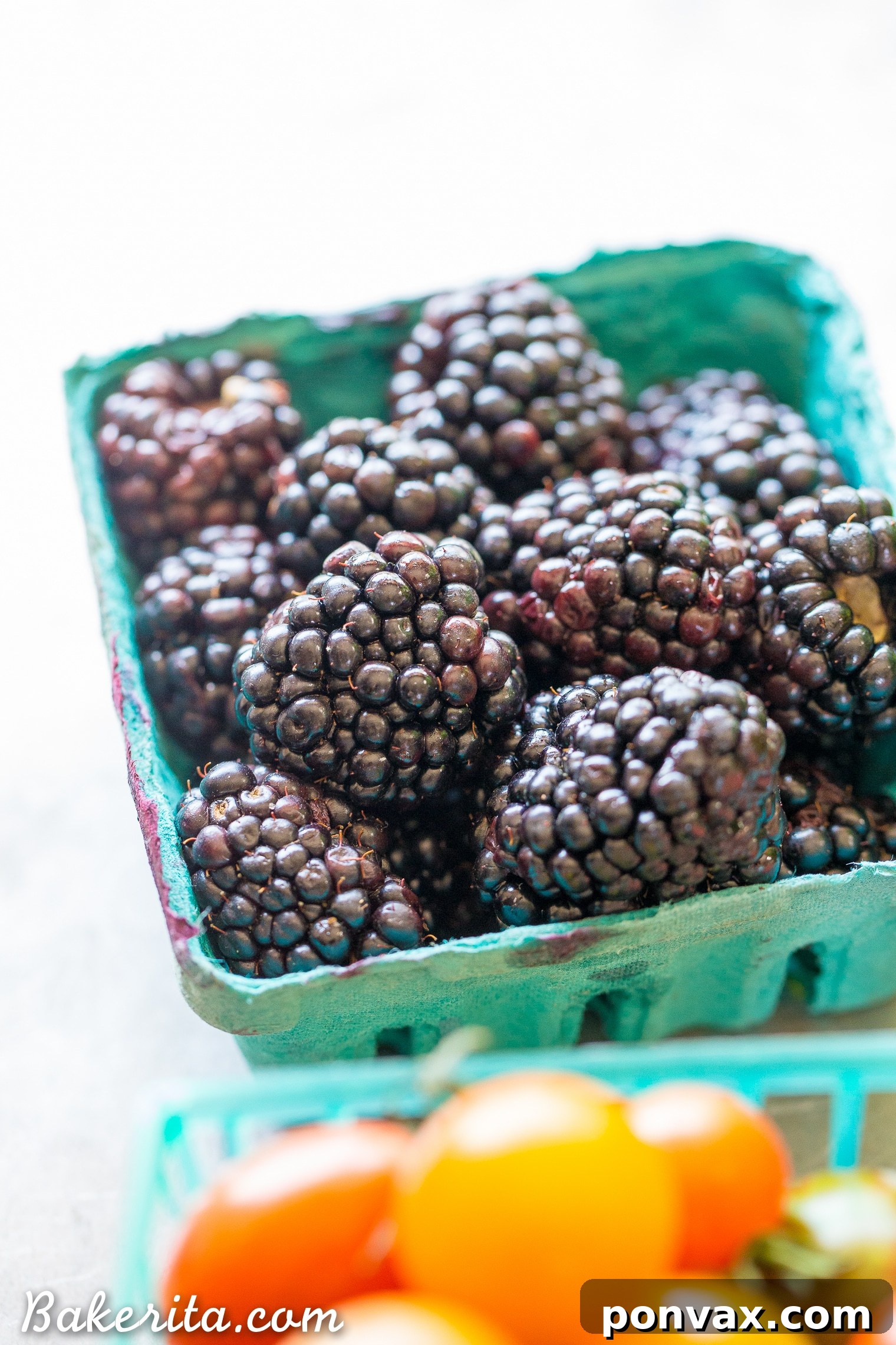 Santa Barbara RV Adventure with a Refreshing Peach Tomato Salad 24 A basket full of vibrant, mixed berries, including large blackberries, freshly picked from the Santa Barbara Farmers Market.
