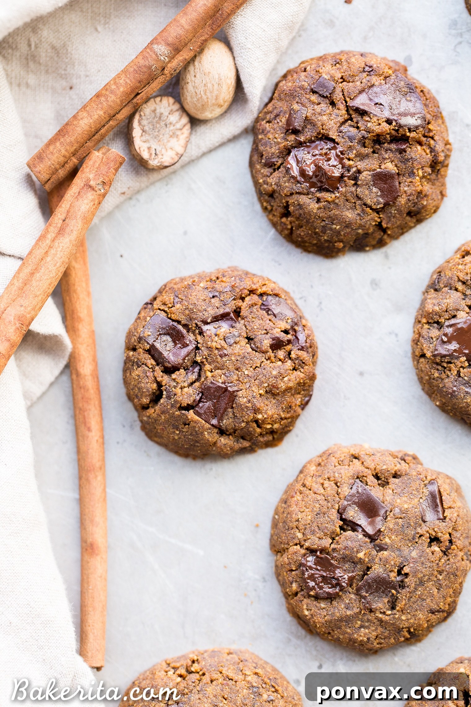 Pillowy Gluten-Free Pumpkin Chocolate Chip Cookies 5 A close-up of the textured top of a soft pumpkin cookie, speckled with dark chocolate, highlighting its enticing appearance.