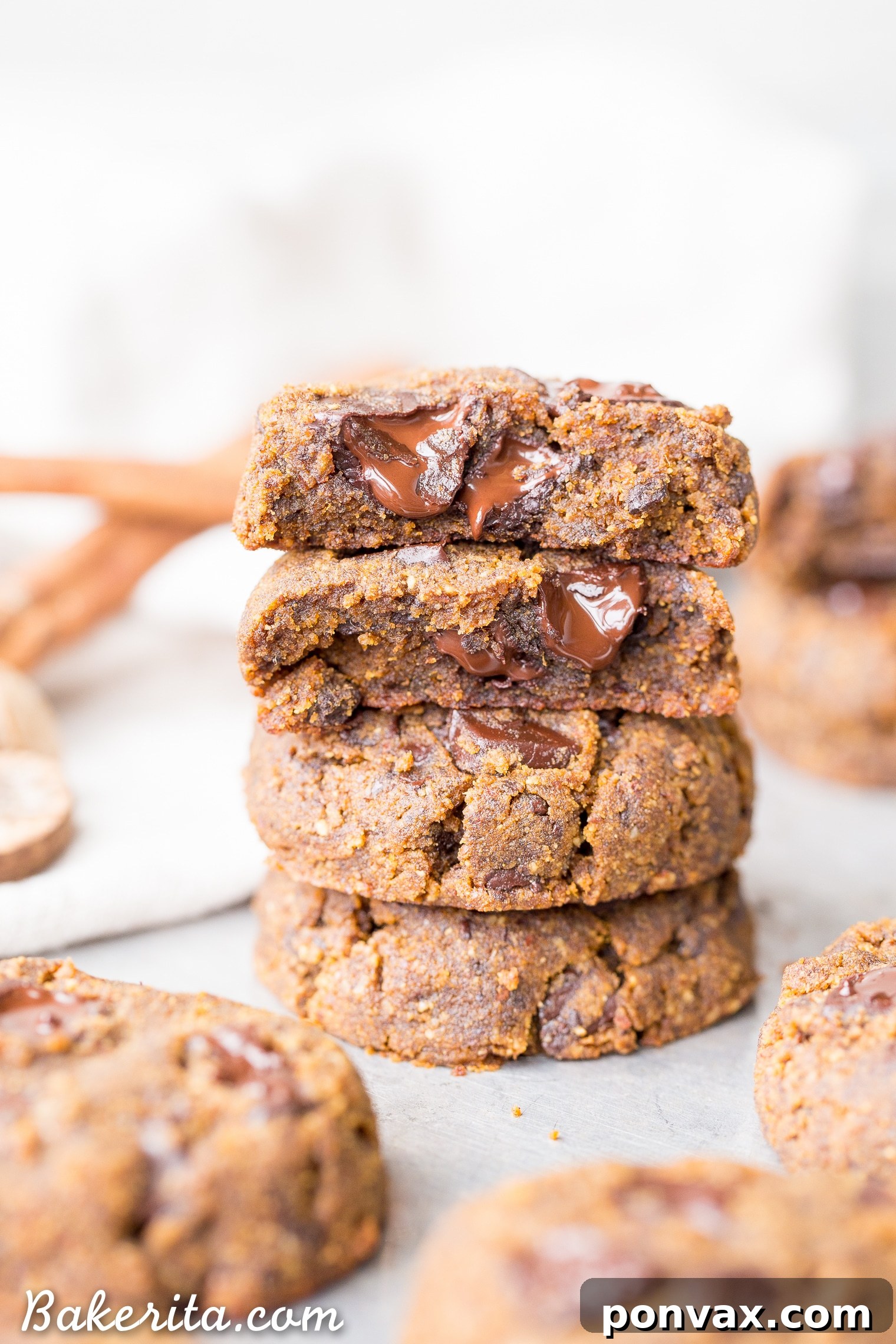 Pillowy Gluten-Free Pumpkin Chocolate Chip Cookies 6 The final plating of soft chocolate chip pumpkin cookies, ready to be served and enjoyed.