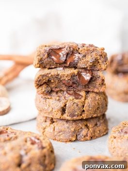 These Soft Chocolate Chip Pumpkin Cookies are a cakey and delicious spiced cookie that’s loaded with chocolate! If you like softer cookies, you’ll adore these gluten-free, paleo + vegan pumpkin cookies.