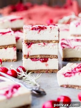 These Vanilla Bean Cranberry Swirl Bars are made with cashews for a smooth and creamy 
